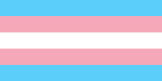 Trans History Quiz app